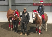 Christmas sermon at the riding school in Vasa